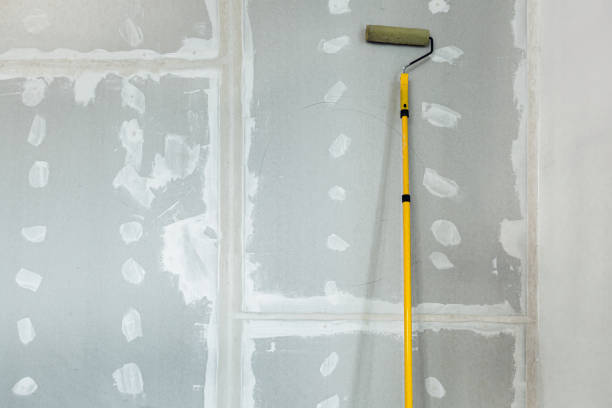 Springfield, MN Mold Removal Company