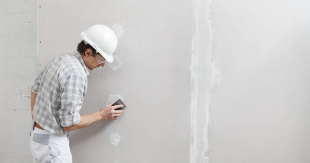 Best Post-Construction Mold Inspection  in Springfield, MN
