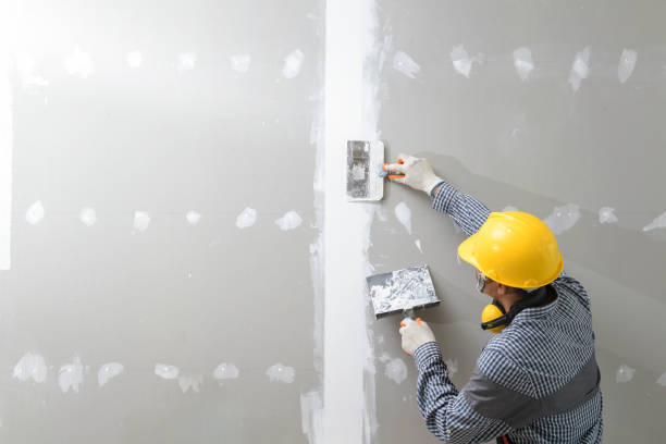 Mold Remediation for Rental Properties in Springfield, MN