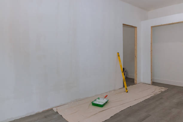 Environmental Consulting for Mold Prevention in Springfield, MN