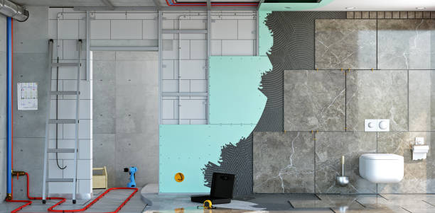 Mold Documentation for Insurance Claims in Springfield, MN