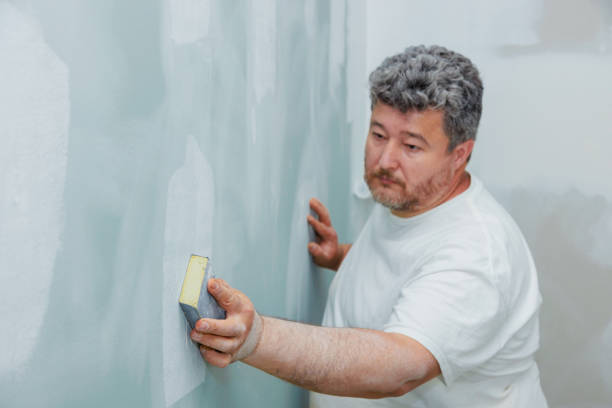 Best Mold Damage Restoration  in Springfield, MN