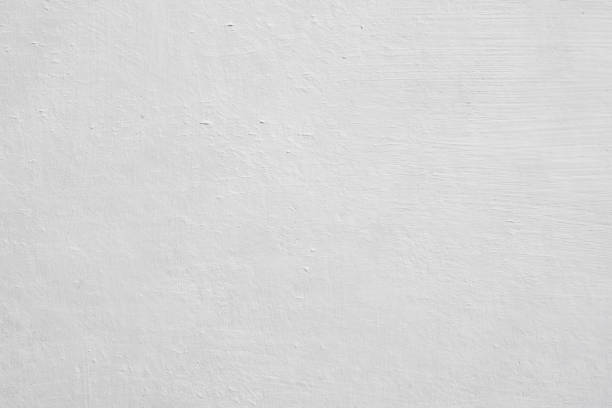 Best Mold Remediation for Healthcare Facilities  in Springfield, MN