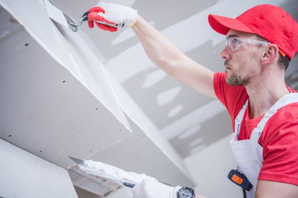 Best Residential Mold Inspection & Testing  in Springfield, MN